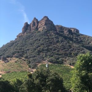 Meet your Posher, Maurice